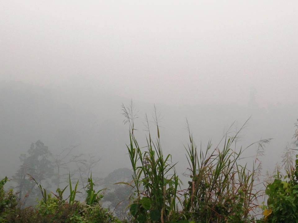 12118759_1147362708611454_2352120754017003630_n