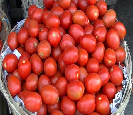 (Harga Tomat di Nabire)