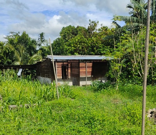 Data Kerusakan Akibat Angin Kencang di Nabire