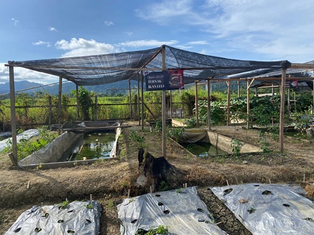 Kodim 1705/Nabire Dorong Kemandirian Ekonomi Lewat Pembukaan Lahan Pangan di Distrik Makimi