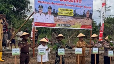 (Pemkab Nabire Genjot Penanaman Padi Biofortifikasi untuk Atasi Stunting dan Perkuat Ketahanan Pangan)