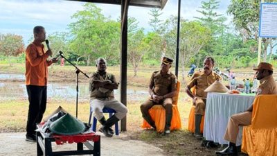 (BPS Nabire Sosialisasikan Sensus Ekonomi 2026 di Penanaman Padi DKP Nabire)