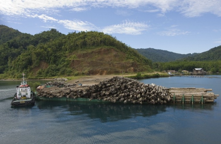 Indonesia Papua Rain Forets