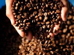 kopi