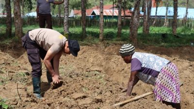 (Polres Paniai Buka Lahan Ketahanan Pangan di Uwibitu, Warga Diajak Mandiri Produksi Sayuran)