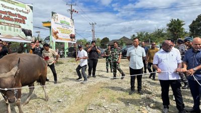 (Gubernur Meki Nawipa Serahkan 64 Hewan Kurban untuk Warga Mimika)