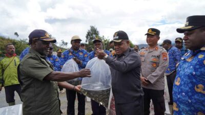 (Bupati Puncak Jaya Salurkan 10 Ribu Bibit Ikan Nila untuk Ketahanan Pangan Masyarakat)
