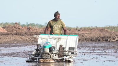 (BULOG Dukung Gerakan Tanam Padi Serentak di Merauke)