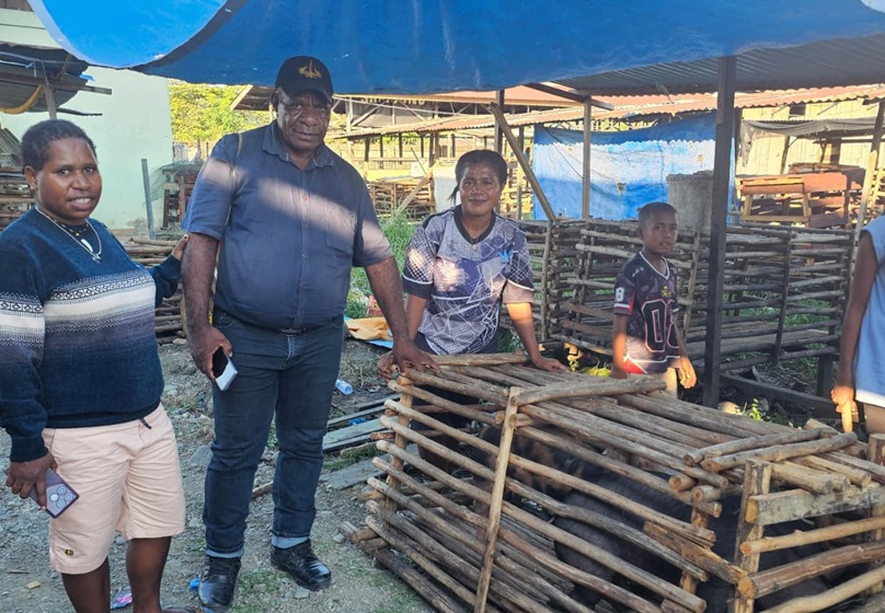Kepala Suku Nduga Puji Bantuan Bibit Babi dari Pemerintah, Sebut Bukti Nyata Kepedulian Negara
