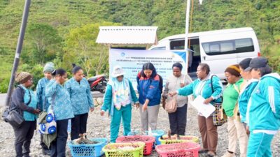(TP PKK Papua Tengah Salurkan 50 Ekor Ayam Kampung untuk Lima Kelompok Peternak di Puncak Jaya)