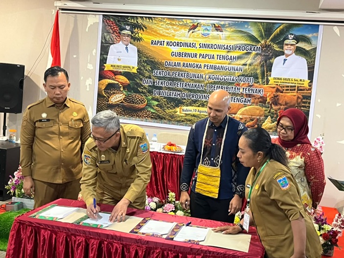 (1 Juta Pohon Kopi Akan Ditanam di Papua Tengah, Nabire hingga Puncak Jaya Disiapkan Jadi Sentra)