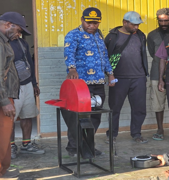 (Mesin Pencacah Rumput untuk Peternak Babi Deiyai, Pemkab Gandeng Pengusaha OAP)