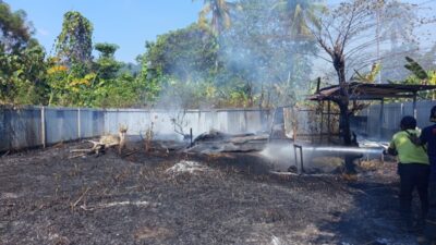 (Kebakaran Lahan di Sanoba Merembet ke Rumah Warga, Damkar Lakukan Evakuasi)