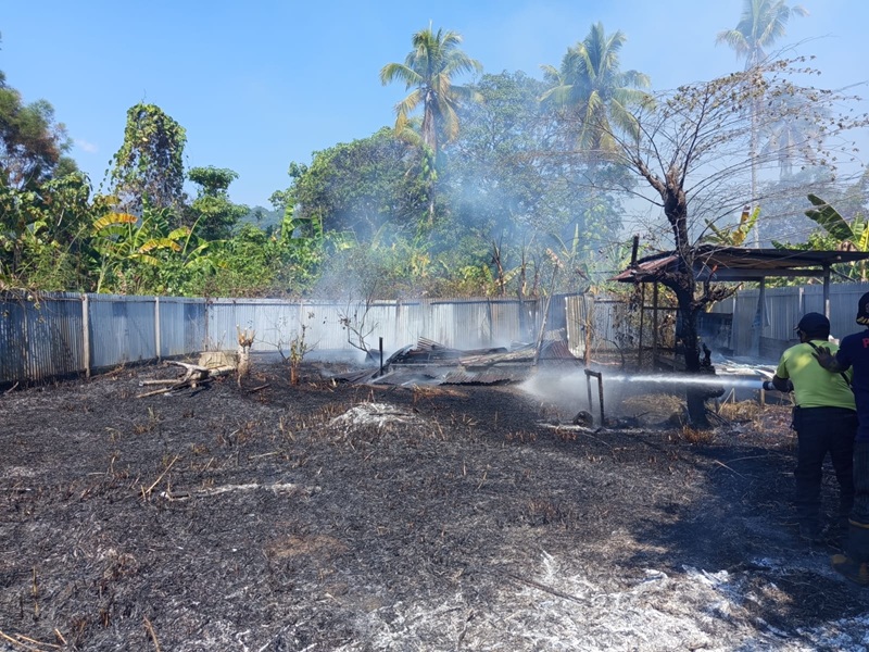 (Kebakaran Lahan di Sanoba Merembet ke Rumah Warga, Damkar Lakukan Evakuasi)