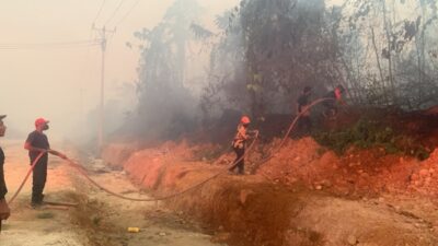 (Karhutla Bukan Fenomena Baru di Nabire, Arsip 1970an, 2015 dan 2019 Catat Riwayat Serupa)