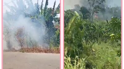 (Warga Kepala Batu Masih Nekat Bakar Lahan Sembarangan di Nabire, Pemerintah dan Aparat Diminta Bertindak)