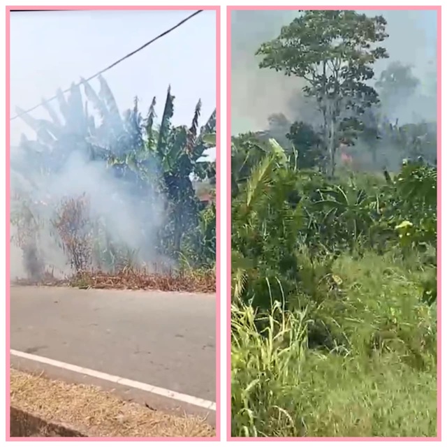 (Warga Kepala Batu Masih Nekat Bakar Lahan Sembarangan di Nabire, Pemerintah dan Aparat Diminta Bertindak)