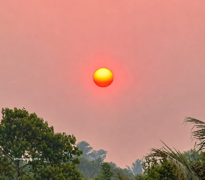 (Matahari Sore di Nabire Berubah Merah, BMKG Ungkap Penyebabnya)