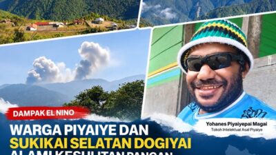 (El Nino Ganggu Ketahanan Pangan, Warga Piyaiye dan Sukikai Selatan Dogiyai Butuh Bantuan)