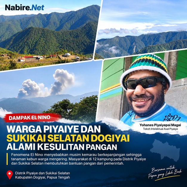 (El Nino Ganggu Ketahanan Pangan, Warga Piyaiye dan Sukikai Selatan Dogiyai Butuh Bantuan)
