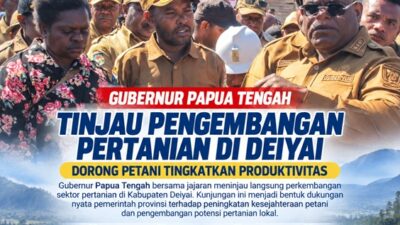 (Plt Kadis Pertanian Deiyai Apresiasi Gubernur, Pertanian Lokal Mulai Menunjukkan Hasil)
