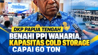 (DKP Papua Tengah Benahi PPI Waharia, Kapasitas Cold Storage Capai 60 Ton)