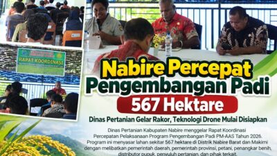 (Nabire Percepat Pengembangan Padi 567 Hektare, Teknologi Drone Mulai Disiapkan)
