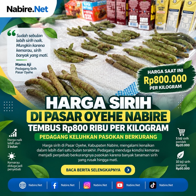 (Harga Sirih di Pasar Oyehe Nabire Tembus Rp800 Ribu per Kilogram, Pedagang Keluhkan Pasokan)
