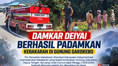 (Damkar Deiyai Berhasil Padamkan Kebakaran di Gunung Gakokebo)