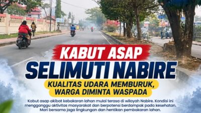 (Hotspot di Papua Tengah Meningkat, Nabire Jadi Wilayah dengan Sebaran Tertinggi)