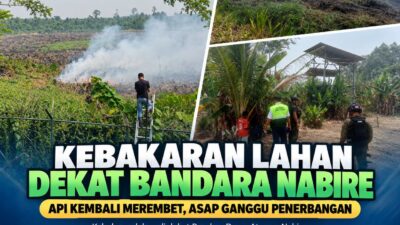 (Kebakaran Lahan Dekat Bandara Nabire Kembali Merembet, Asap Ganggu Penerbangan)