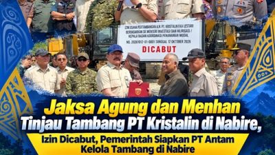 (Jaksa Agung dan Menhan Tinjau Tambang PT Kristalin di Nabire, Izin Dicabut, Pemerintah Siapkan PT Antam Kelola Tambang di Nabire)