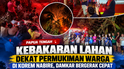 (Kebakaran Lahan Dekat Permukiman Warga di Korem Nabire, Damkar Bergerak Cepat)