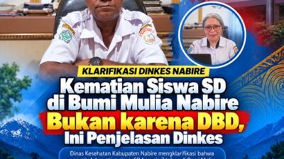 (Kematian Siswa SD di Bumi Mulia Nabire Bukan karena DBD, Ini Penjelasan Dinkes)