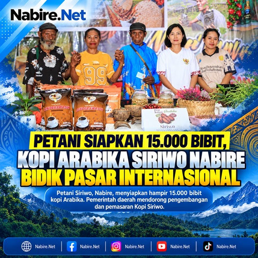 (Petani Siapkan 15.000 Bibit, Kopi Arabika Siriwo Nabire Bidik Pasar Internasional)