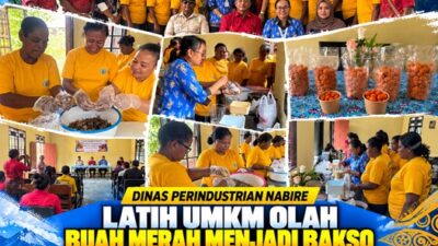 (Dinas Perindustrian Nabire Latih UMKM Olah Buah Merah Menjadi Bakso)