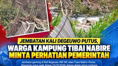 (Jembatan Kali Degeuwo Putus, Warga Kampung Tibai Nabire Minta Perhatian Pemerintah)