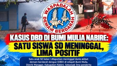 (Kasus DBD di Bumi Mulia Nabire: Satu Siswa SD Meninggal, Lima Positif)