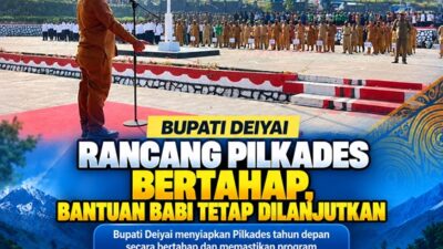 (Bupati Deiyai Rancang Pilkades Bertahap, Bantuan Babi Tetap Dilanjutkan)